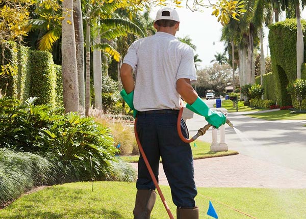 About Leeds MA Pest Control Pros